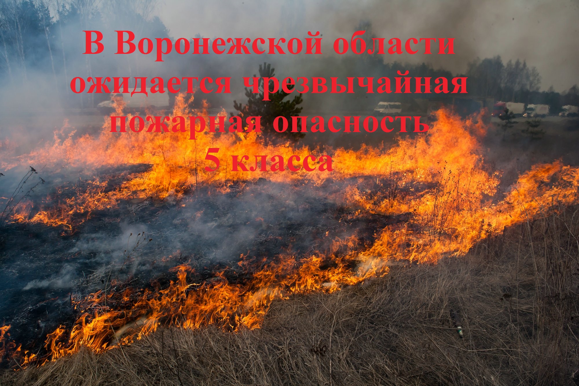Чрезвычайная пожарная опасность 5 класса.