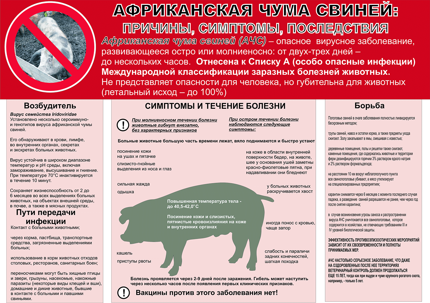 Памятка для населения: Мероприятия по профилактике африканской чумы свиней.