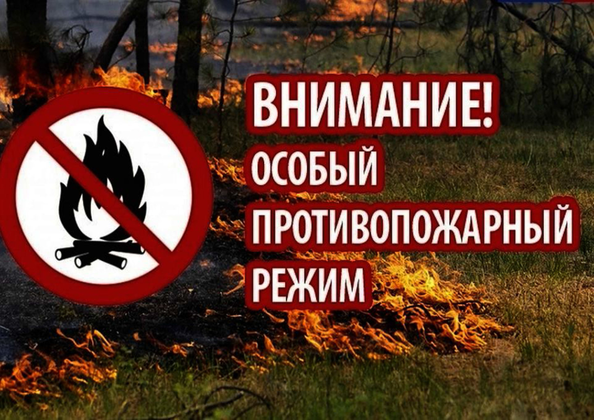 С 15 АПРЕЛЯ НА ТЕРРИТОРИИ ОБЛАСТИ ВВЕДЕН ОСОБЫЙ ПРОТИВОПОЖАРНЫЙ РЕЖИМ..